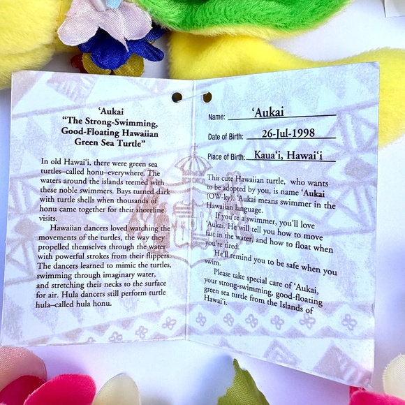 Adopt an Island Turtle - Aukai - Picture 3 of 4